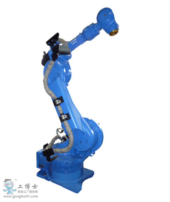 �����C����