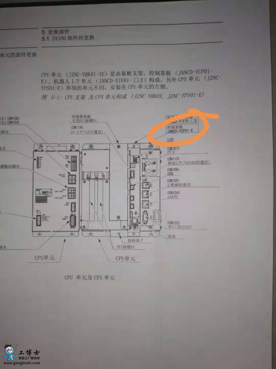 �������I�C�������