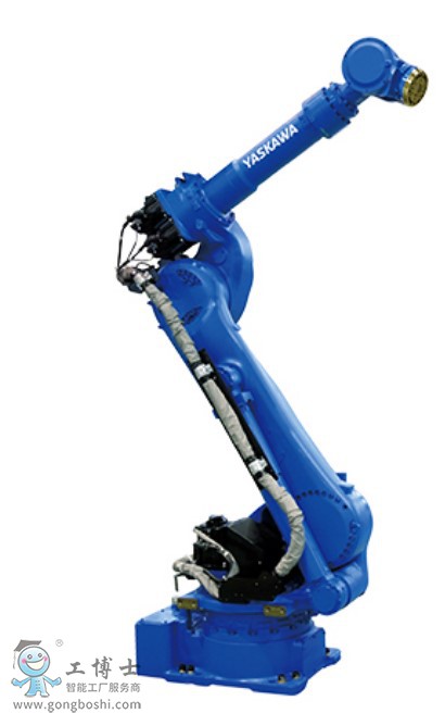 �����C�������