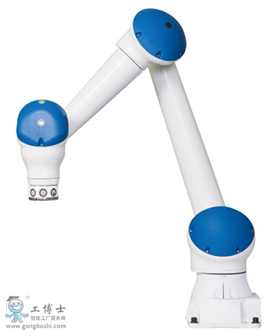 �����C�������