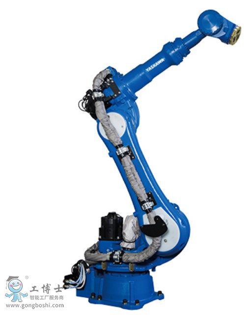 �����C�������