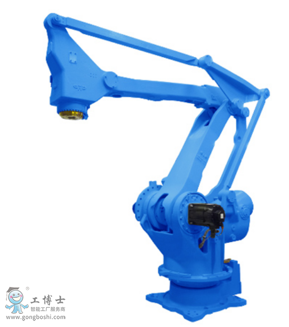 �����C�������