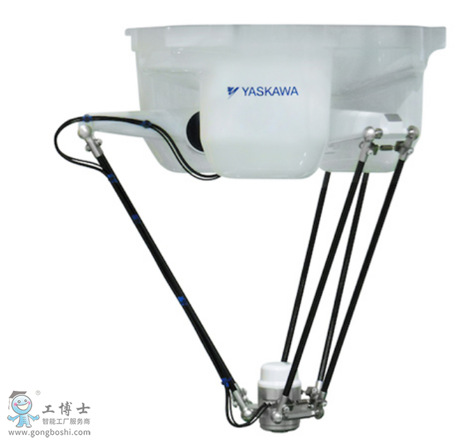 �����C�������