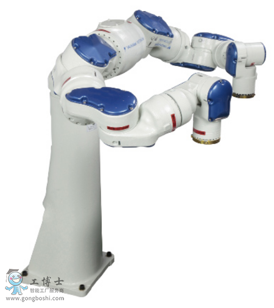 �����C�������