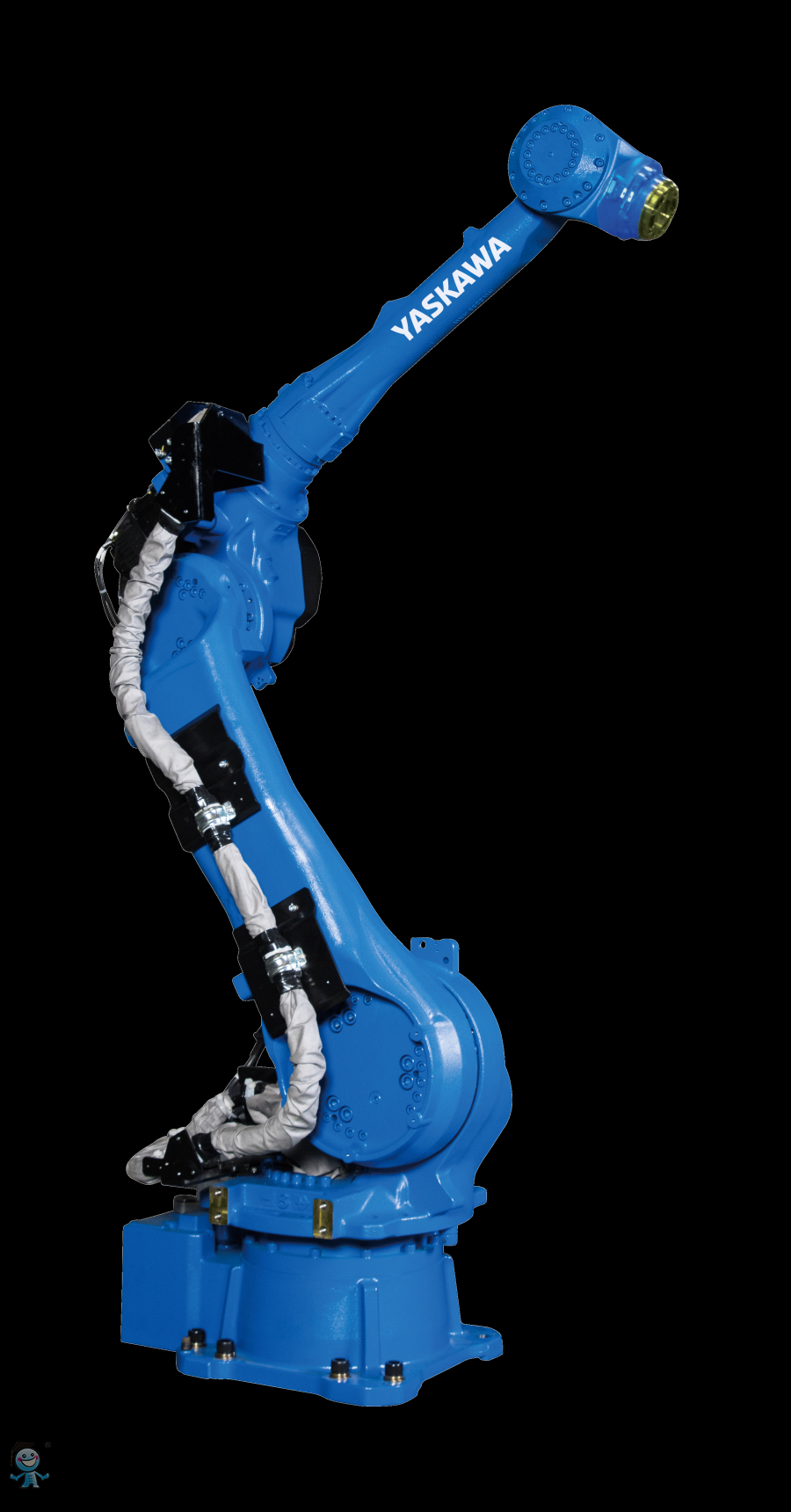 �����C����