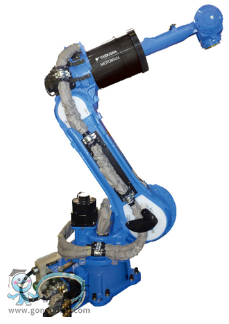 �����C�������