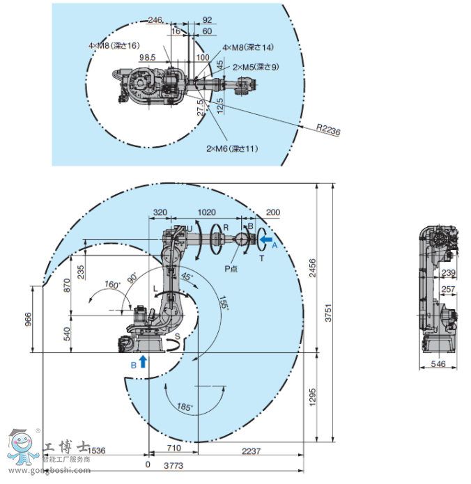 �����C�������