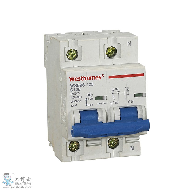 ���ݔ�·��WSB9S-125 2P