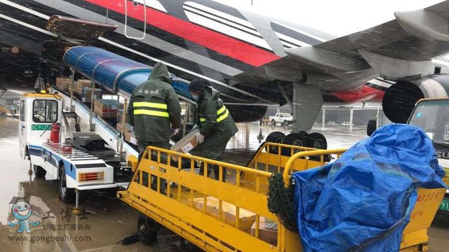 yogo�C����