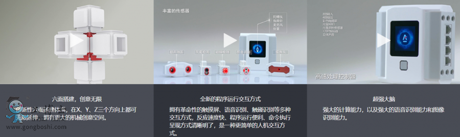 �����L���C����