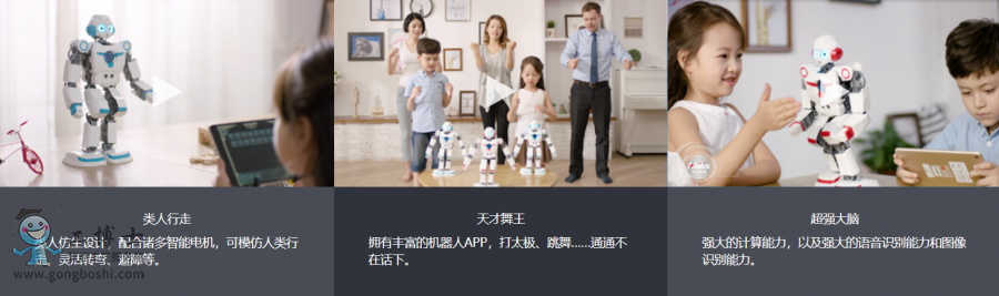 �����L���C����