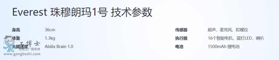 �����L���C����