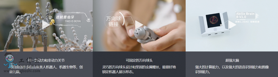 �����L���C����