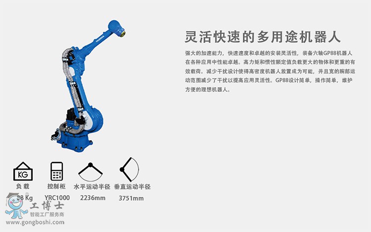 �����C����