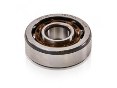 ����ʿ�̳�