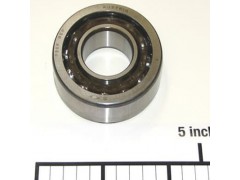 ����ʿ�̳�