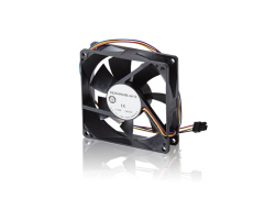 ����ʿ�̳�