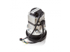 ����ʿ�̳�