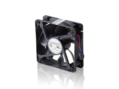 ����ʿ�̳�