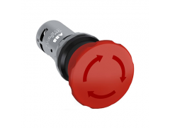 ����ʿ�̳�