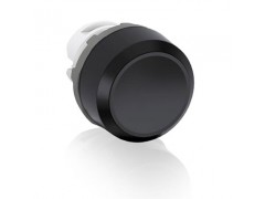 ����ʿ�̳�