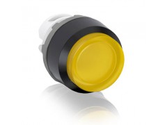 ����ʿ�̳�