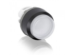 ����ʿ�̳�