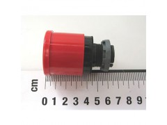 ����ʿ�̳�