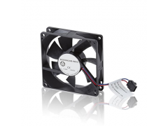 ����ʿ�̳�