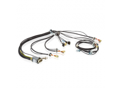 ����ʿ�̳�