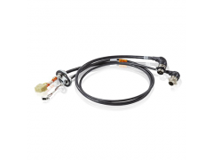 ����ʿ�̳�