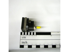 ����ʿ�̳�