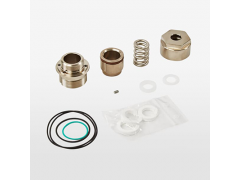 ����ʿ�̳�