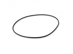 ����ʿ�̳�