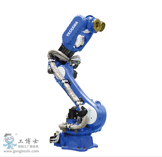 �����C����