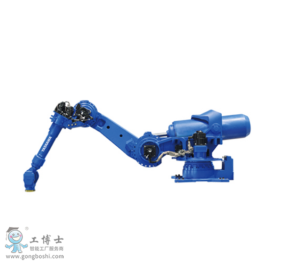 �����C����