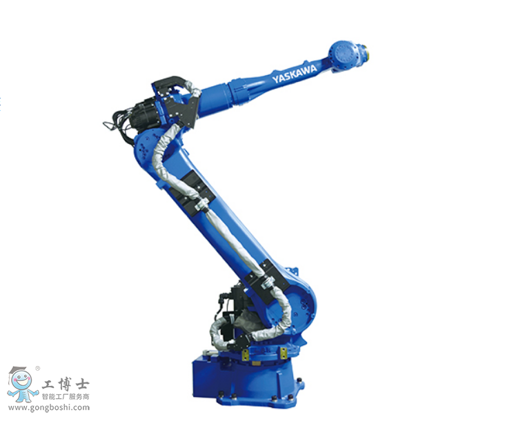 �����C����