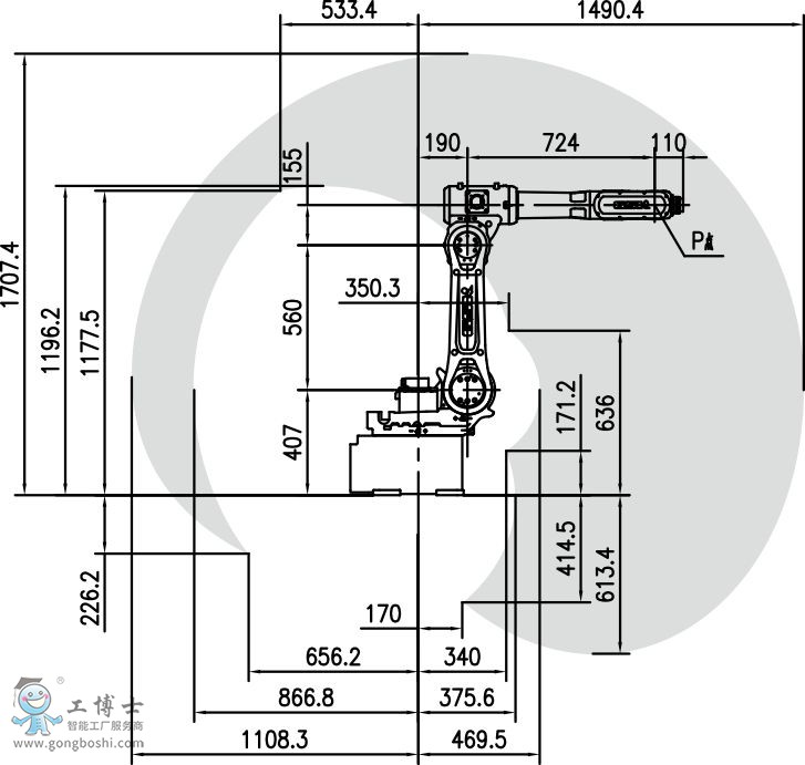 �V���C����