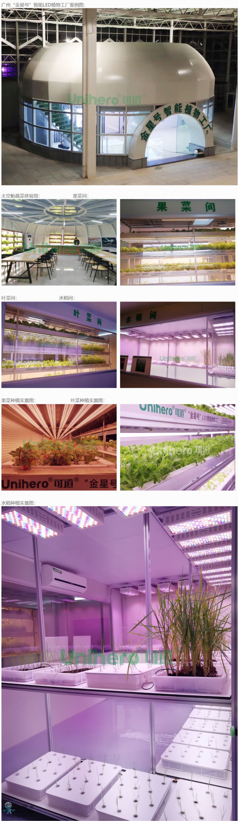 �ɵ�����