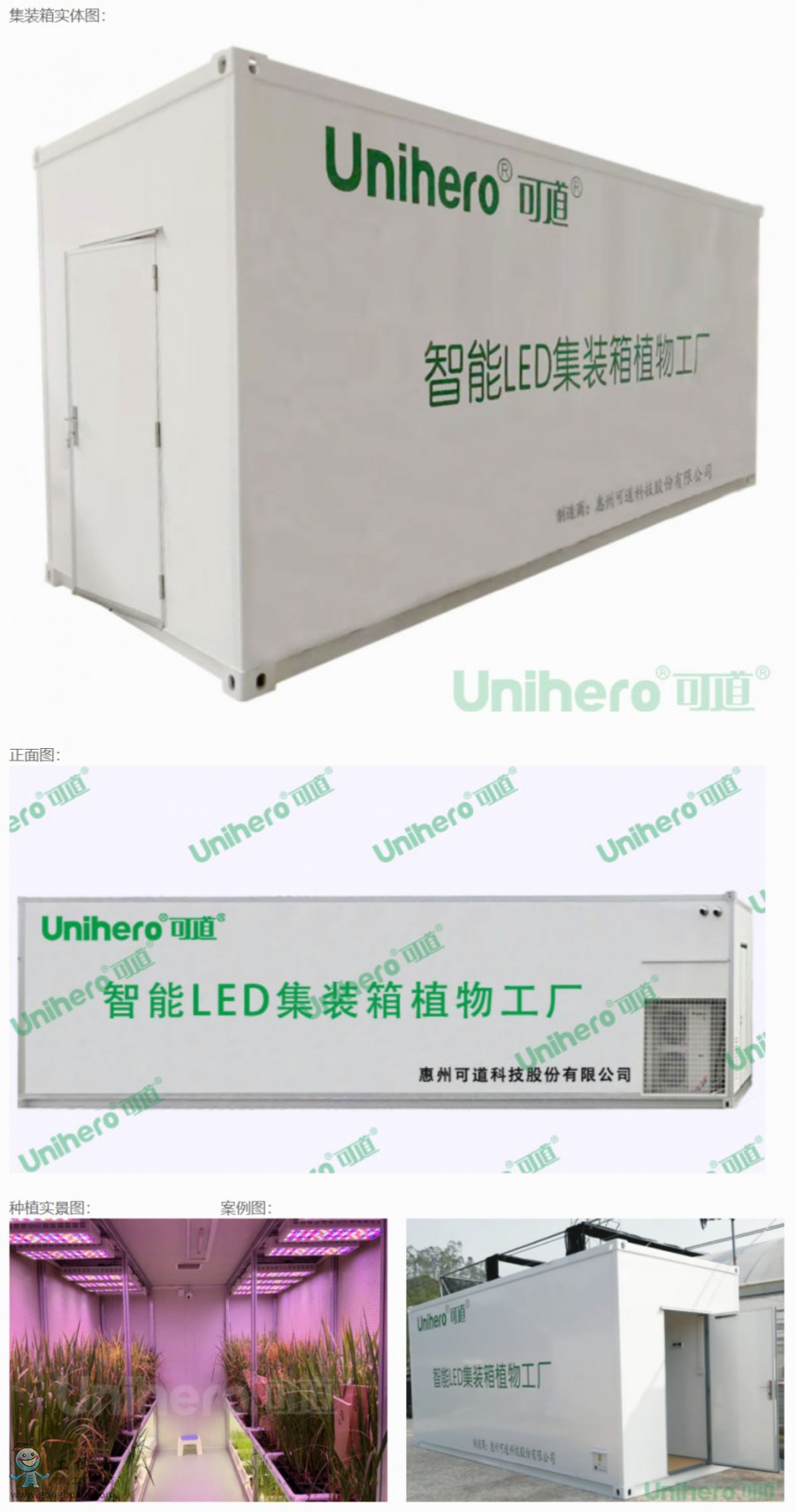 �ɵ�����