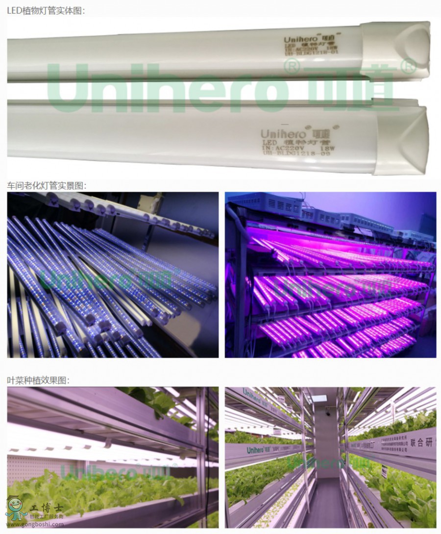 �ɵ�����