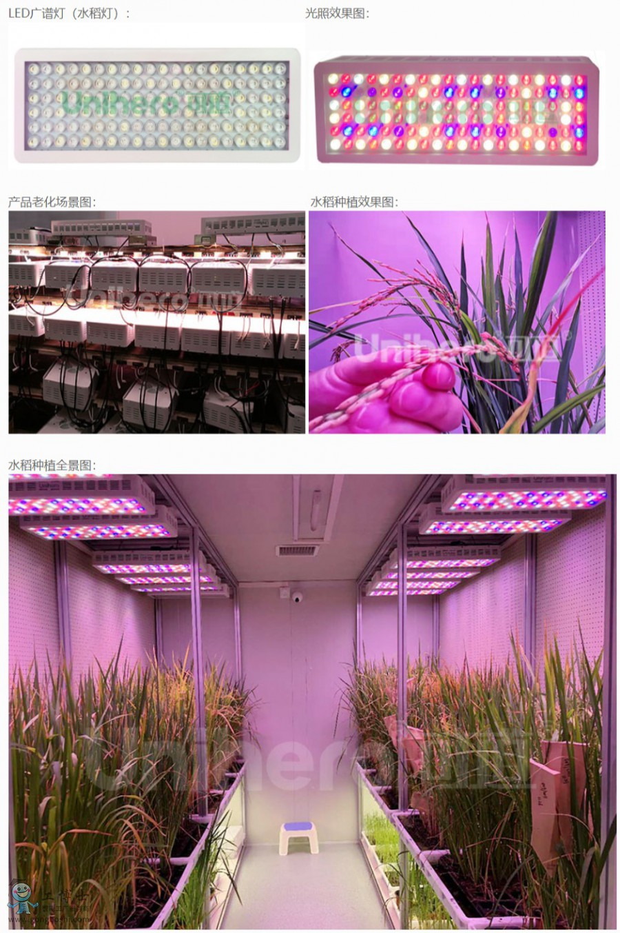 �ɵ�����