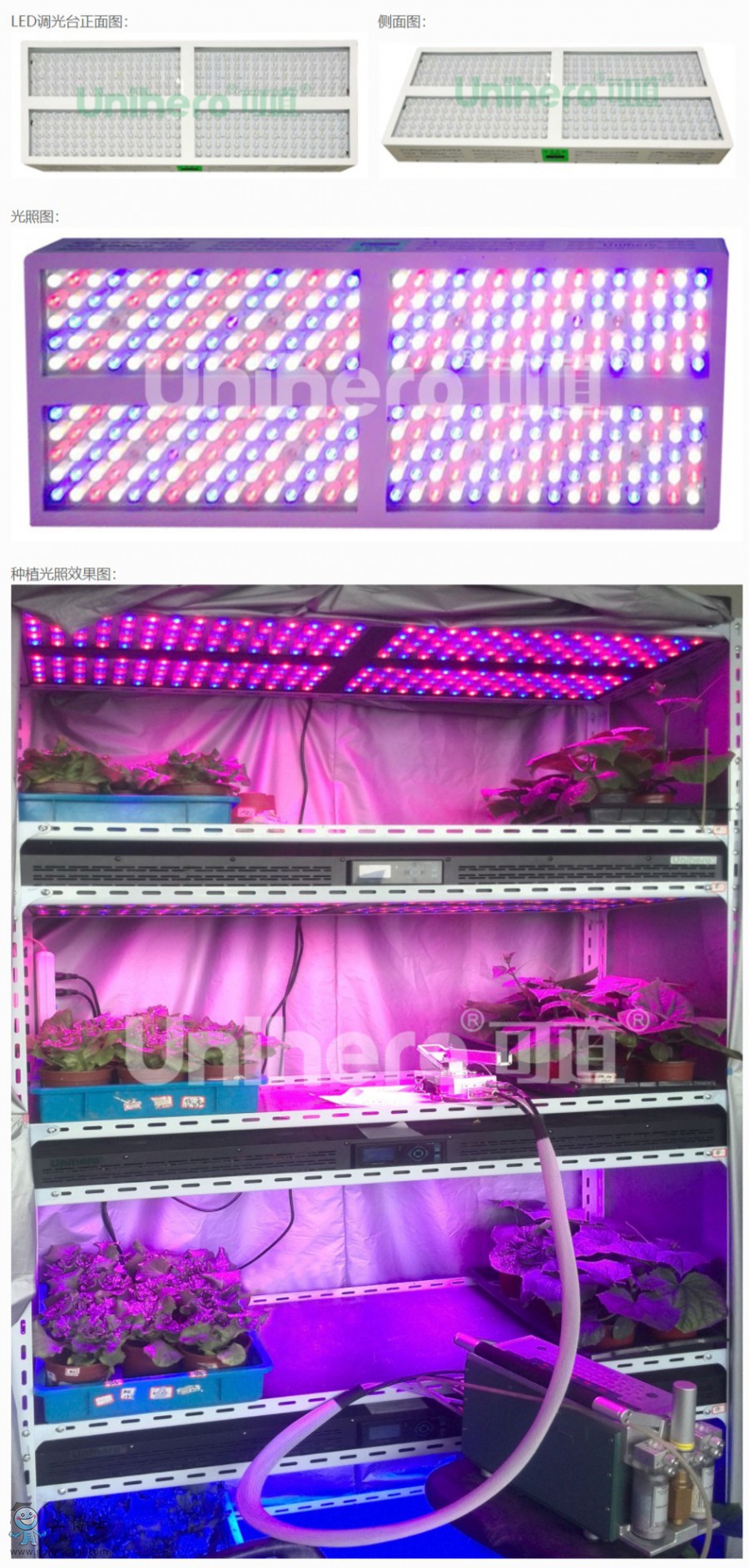 �ɵ�����