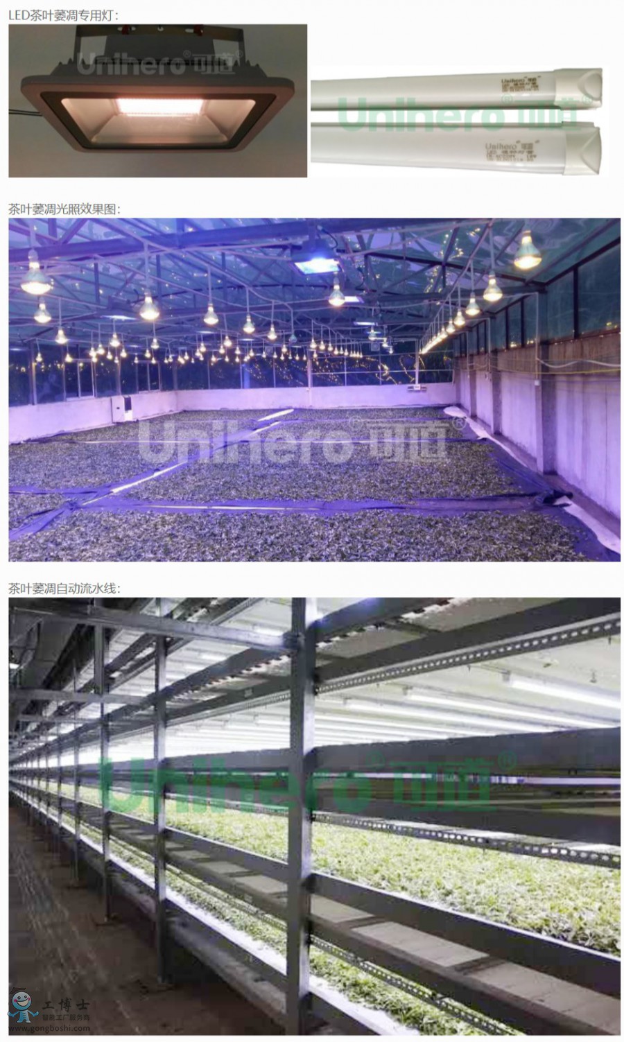 �ɵ�����