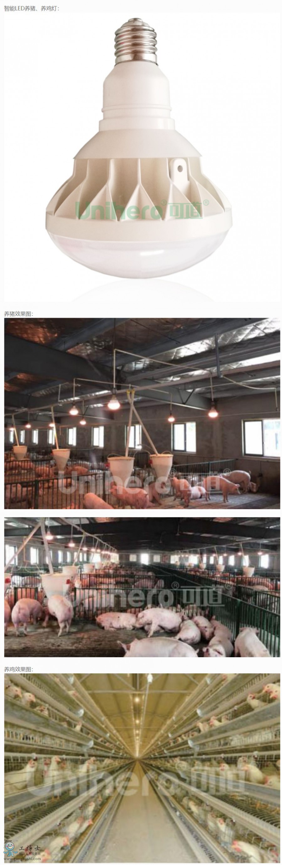 �ɵ�����