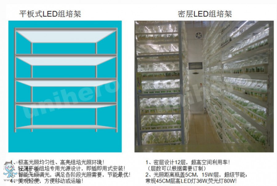 �ɵ�����