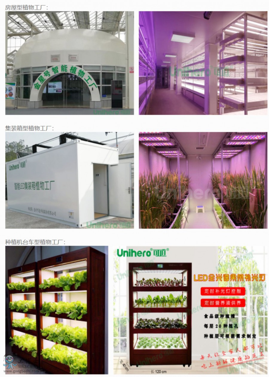 �ɵ�����