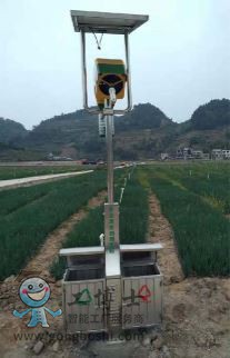 �ɵ�����