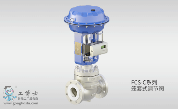 FCS-Cϵ�� �\��ʽ�{���y