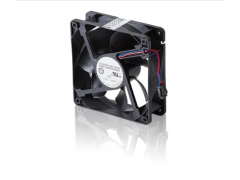 ����ʿ�̳�